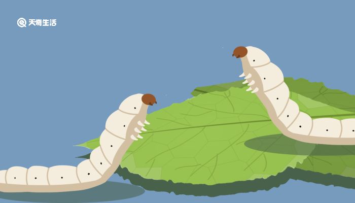 诱惑房东 诱惑房东优化租赁匹配流程