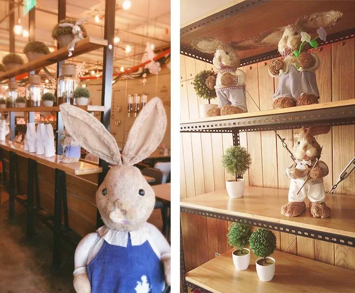 年轻律师啄木鸟