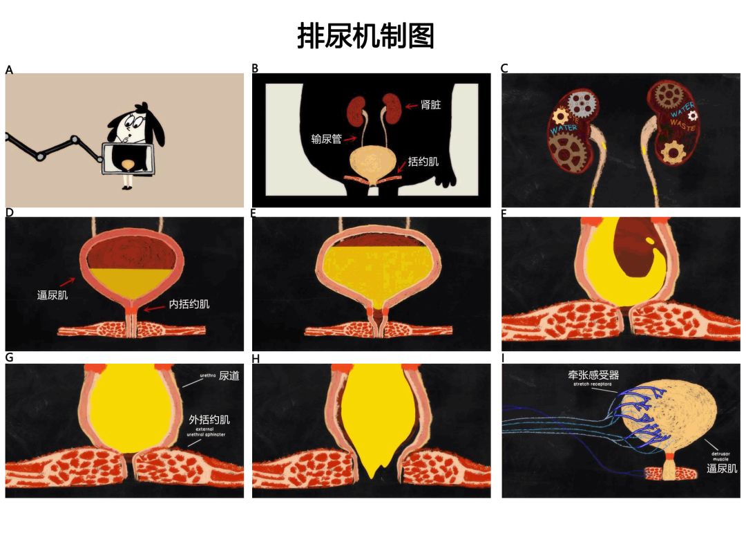 小蓝视频彩虹版介绍 视觉呈现更为年轻化