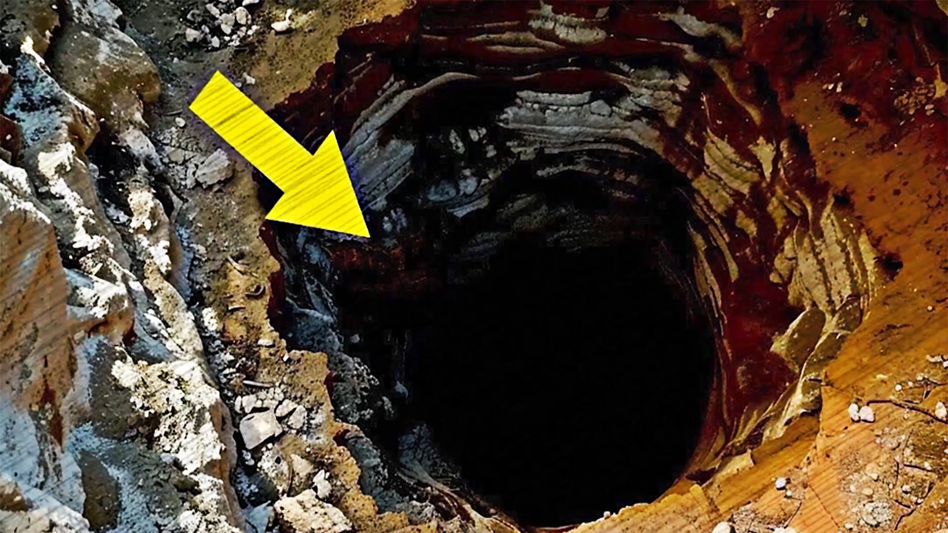 综合讨论区98tang地址 我很乐意为您提供帮助和建议