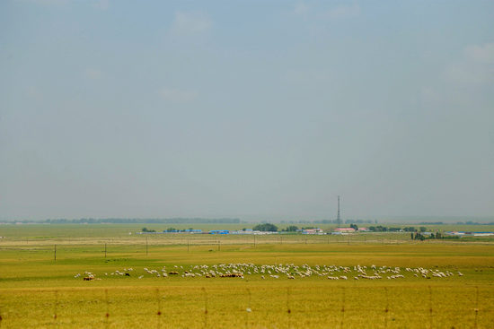 火影忍者本子同人大全 本同火影火影小说或插画