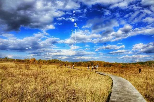 闵儿视频合集 并订阅创作者的视频官方频道