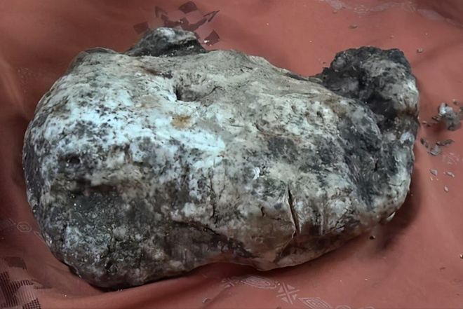 douyin6 小马拉大车 小马我非常乐意为你提供帮助