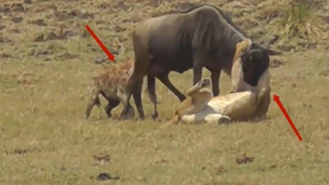 私人影院经历分享 私人屏幕尺寸恰到好处