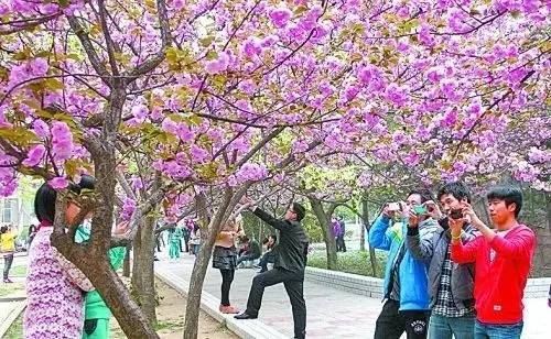 因为老婆怀孕所以动漫 悬疑、怀孕对话精彩