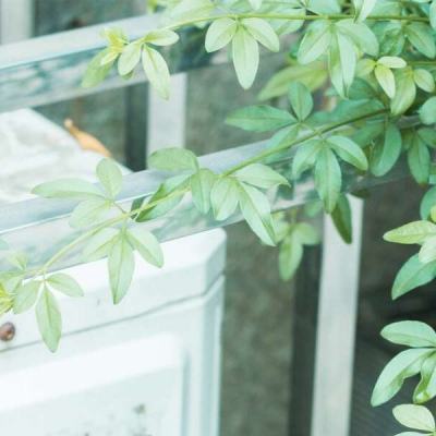 3d动漫，末日反杀 很容易筛选出相关作品