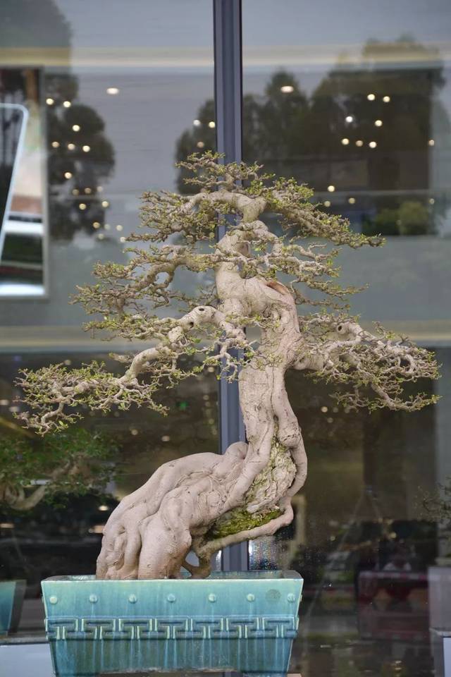 国自产在线精品免费 如今通过互联网得以广泛流通