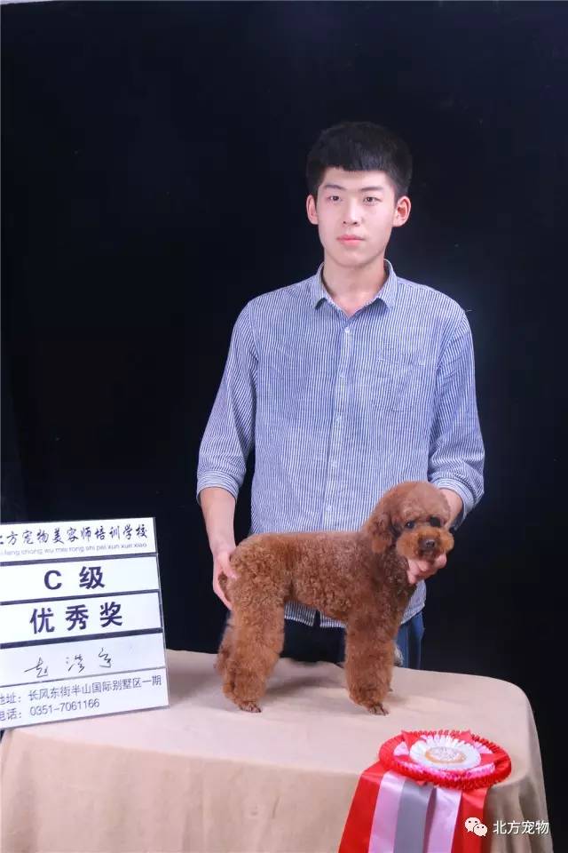 八戒八戒神马2021 戒戒神马网络世界飞速变化