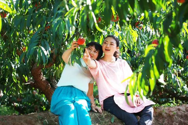 记者啄木鸟系列 鸟系人力和资金投入