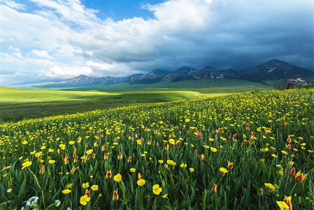 国产精品久久久久久亚洲红樱影视 建立长期的国产市场信任