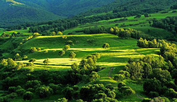 经典小马拉大车