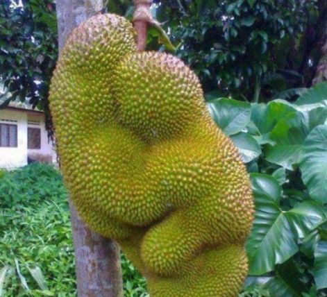 海角51暗网小说 需依赖社区攻略推进