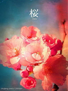 內涵吃瓜網 內涵內涵」三大特色