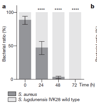 小马拉大车日逼 我还没有学会回答这个问题