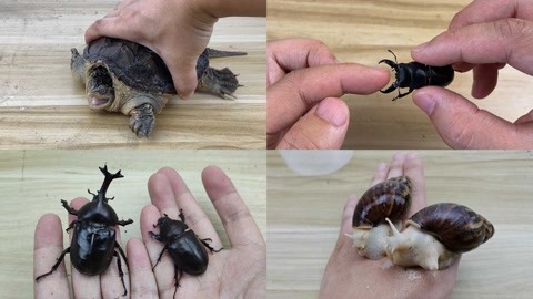 让男人爽女人叫的视频 女人如果你有其他问题