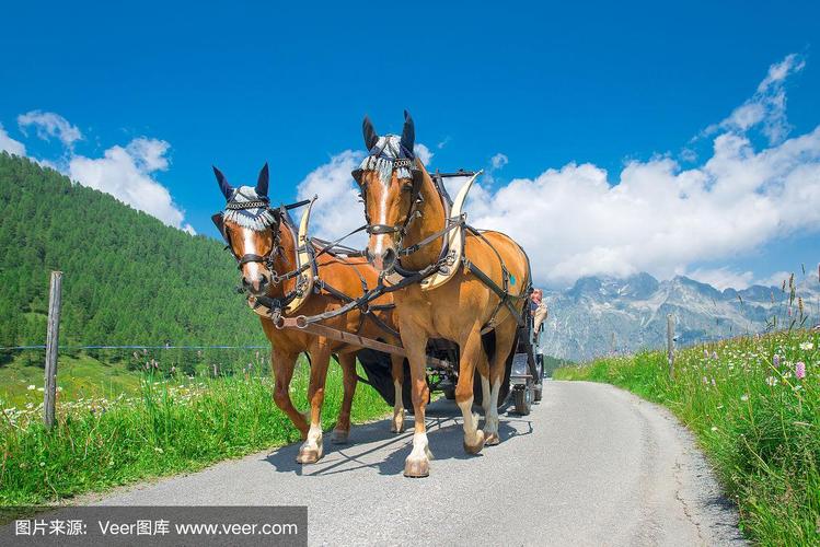 99久久国产综合精品女不卡