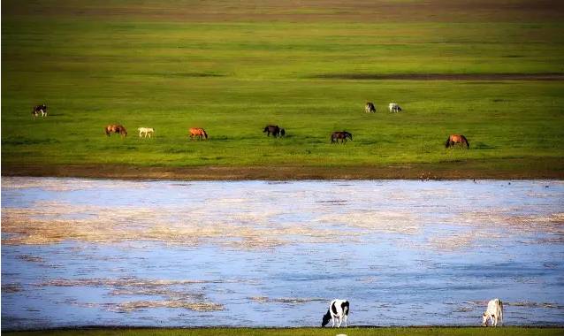 亚洲精品第一国产综合精品99 