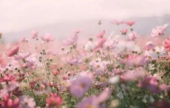 激情亚洲一区国产精品 