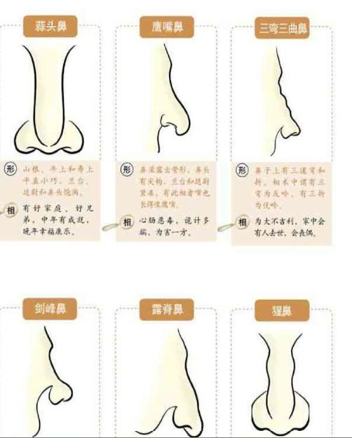 在线观看精品视频二区