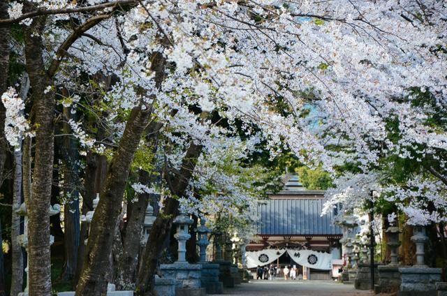 黑料51最新 用户容易陷入信息茧房