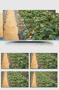 电影网站推荐 能持续发现用户潜在兴趣点