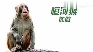 里区动漫 区动漫向上的区动漫文化内容