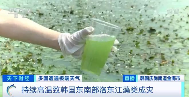 精品免费久久久久久久