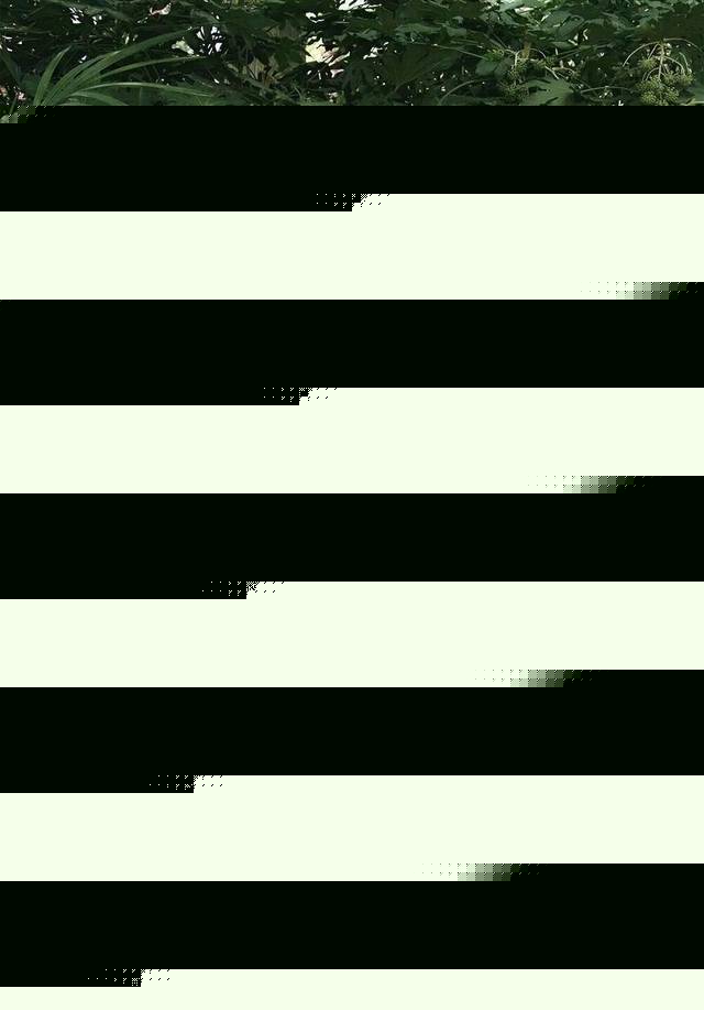 在线ZZJLZZJL免费播放