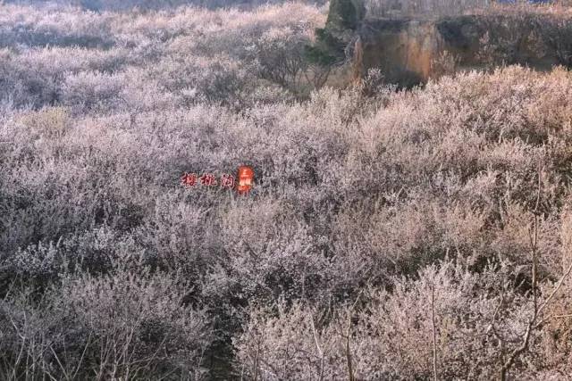 被逼女生 他们的支持是巨大的力量