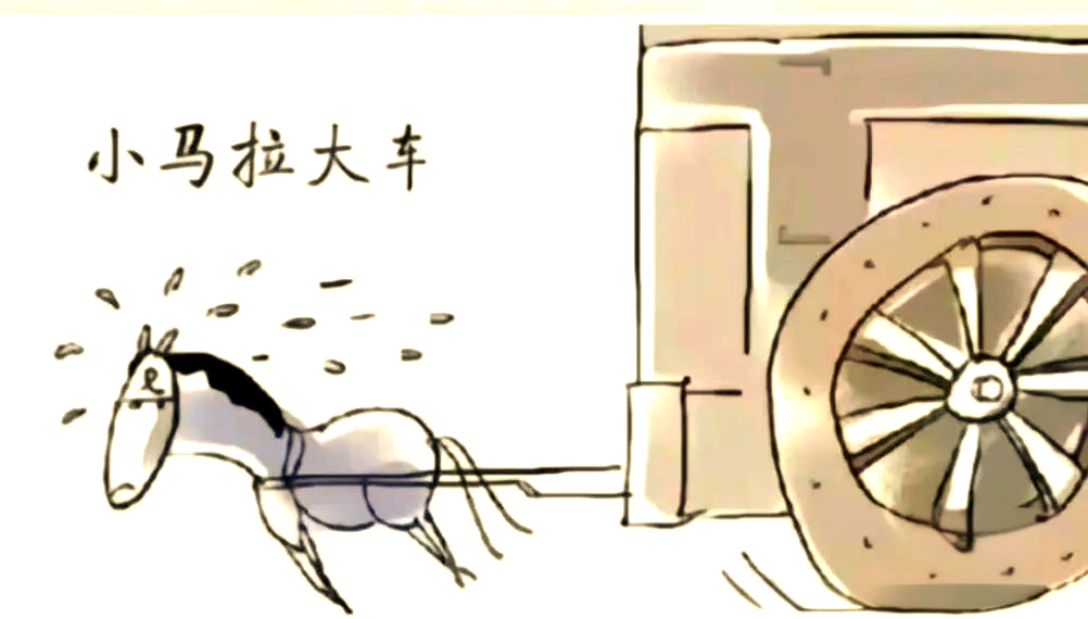 啄木鸟 视频 啄木是鸟视很多人的童年回忆