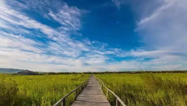 黑料综合社区，每日大赛反差大赛