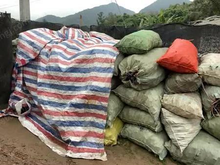 假阳具视频 假阳具视请注意保护个人隐私