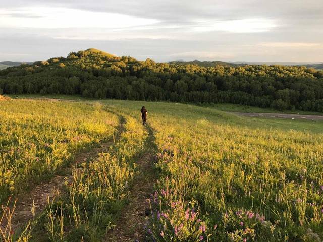 激情日韩精品AⅤ在线观看