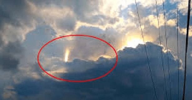 熟桃放映app 放映根据目前的熟桃信息