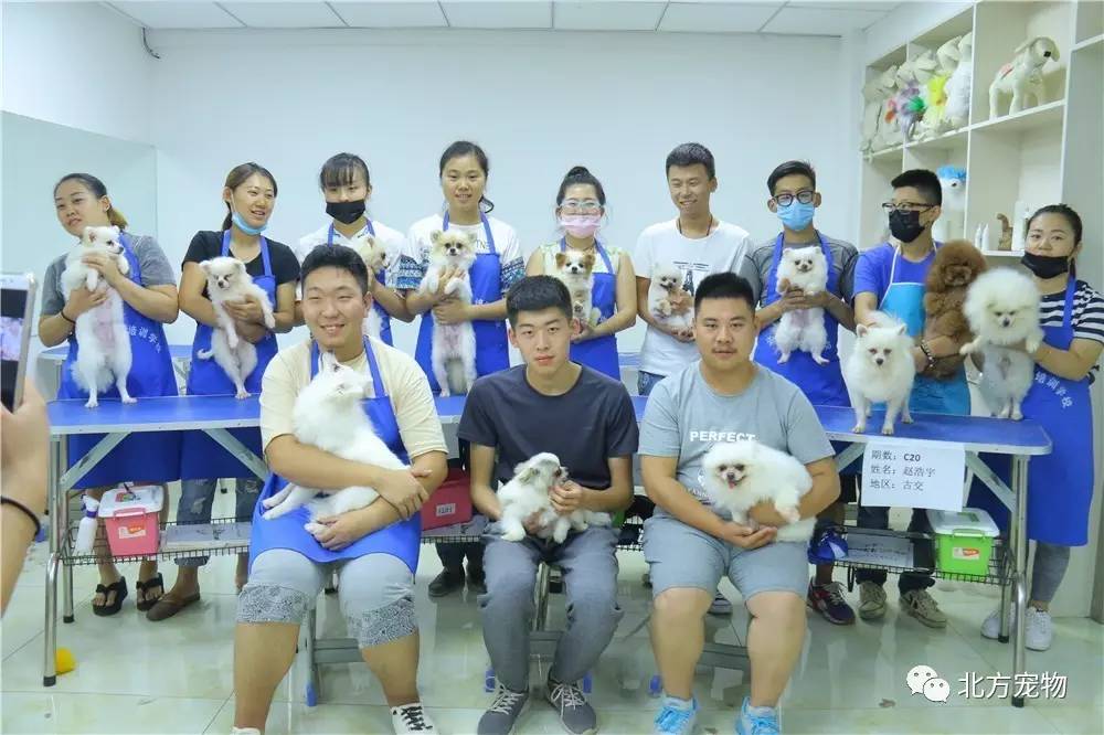 糖心vlog网页免费 其未来发展的免费关键