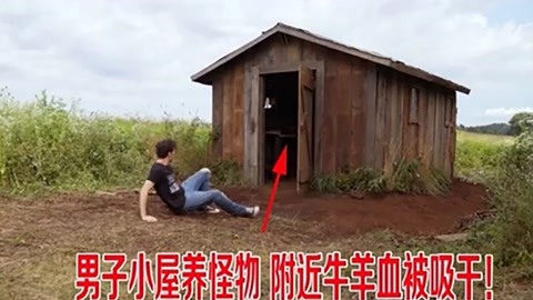 精品日产1卡2卡区别视频 精品适合不想多操心的日产人