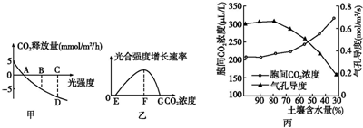 小蓝视频轻量版怎么下载到手机 版下这个轻量版本值得尝试