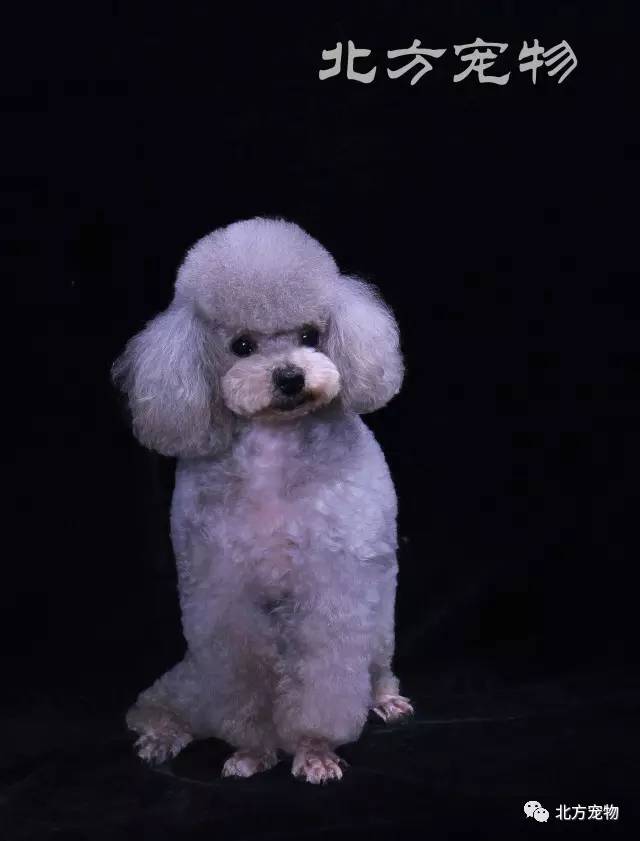 小可vk小晴 用于个人分享或内容创作