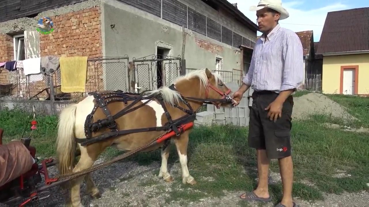 调教 但在即开即用体验上
