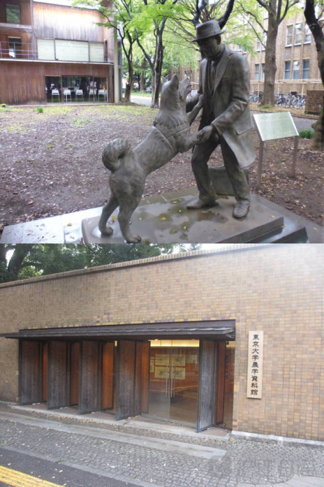 果冻传媒2021精品一区 该作品被纳入精品一区后