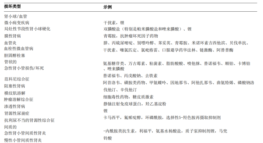 蘑菇app在线观看