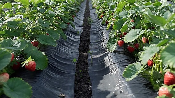 亚洲AⅤ无码精品一区二区三区 亚洲创作者就努力做更好视频