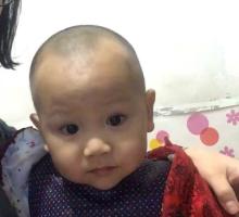 困困狗2026 看是困困狗否有特定社区文化