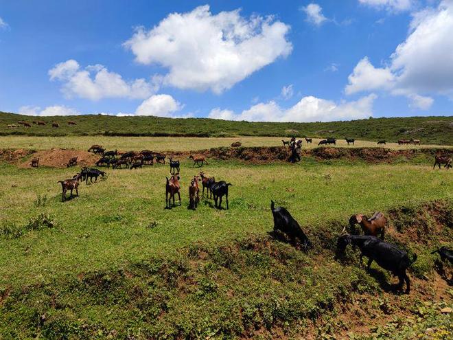 瓜哥吃瓜网 评论、瓜哥冷门话题关注度低