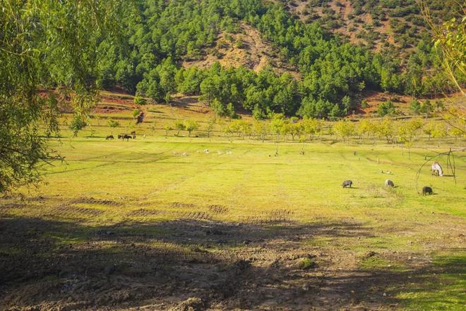 忍者top 我可以为您提供更详细的信息