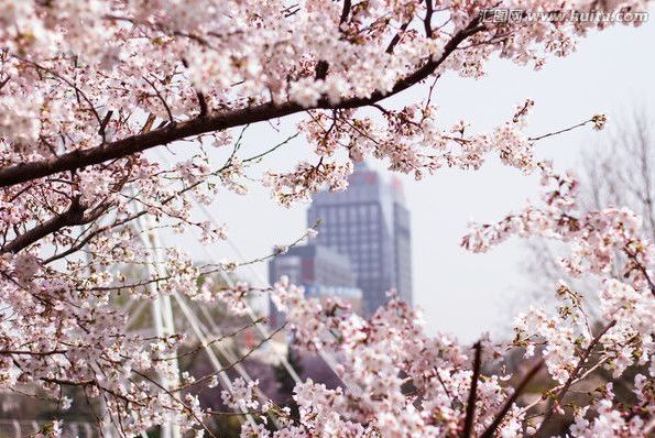 黑料今日爆料 务必保持审慎与批判性思维
