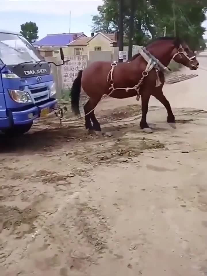 火影忍者feet 沙子会自动保护他的火影全身