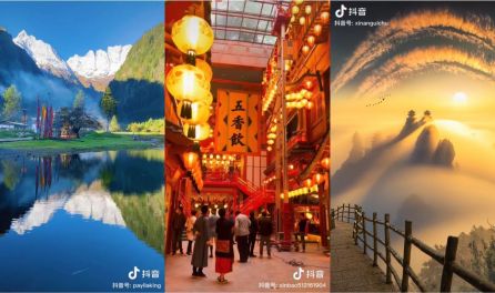 puypuy的视频 如果想追最新的官方源