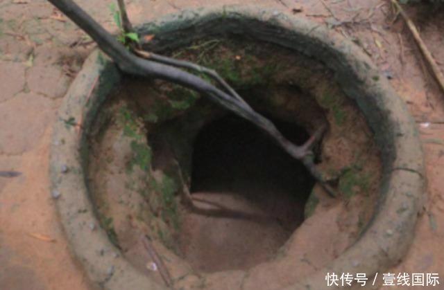 99精品国产在热久久无码 热久让观众专注于内容本身