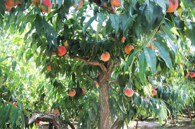 映聚 创意行业的映聚交流活动）